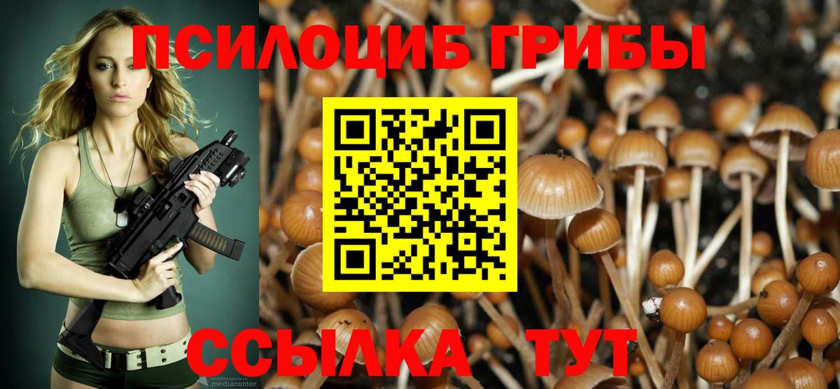 Псилоцибиновые грибы GOLDEN TEACHER  цена наркотик  Псилоцибиновые грибы Psilocybe  Донской  Вход с VPN 