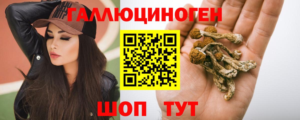 Псилоцибиновые грибы ЛСД Донской